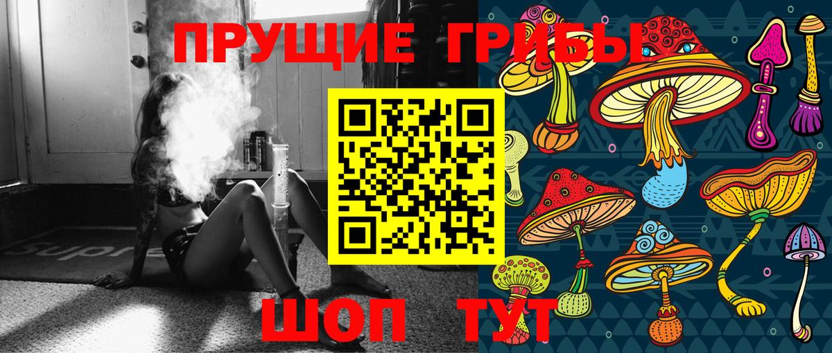 Псилоцибиновые грибы прущие грибы Волгоград