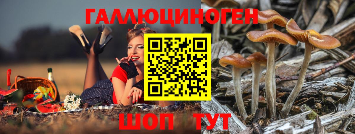 Псилоцибиновые грибы мицелий  Вход с VPN  Псилоцибиновые грибы Magic Shrooms  Волгоград 