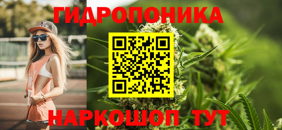 Бошки марихуана SATIVA & INDICA Волгоград